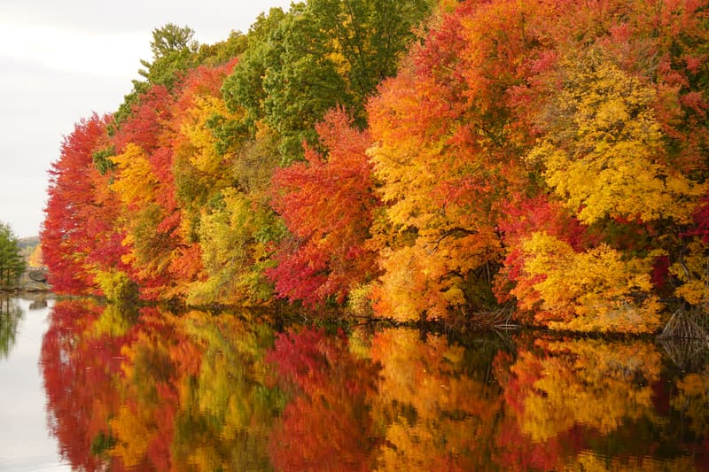 Fair Oaks, Sacramento region